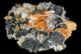 Cerussite Crystals with Bladed Barite on Galena - Morocco #100764-1